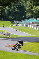 Lower Group Yellow Bikes